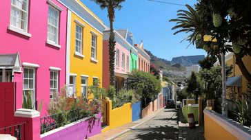 Cape Town Chronicles: A Journey Through the Mother City